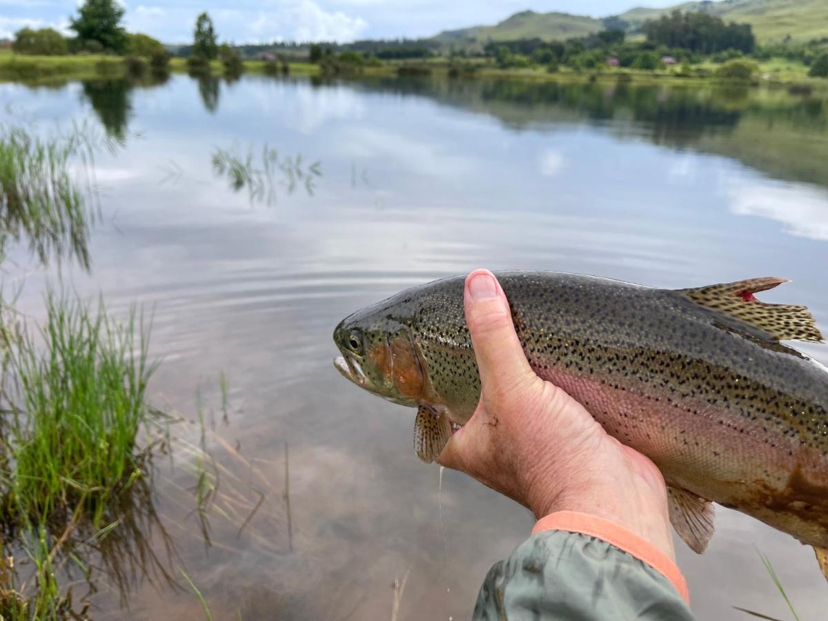 Walkersons Trout And Nature Haven Dullstroom Exterior photo